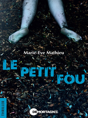 cover image of Le petit fou